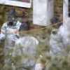 Fall Skripal: Russland wirft Briten und USA Verlust jeden Anstands vor