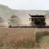 Ernteausfälle: Hilfe für Bauern frühestens Ende August